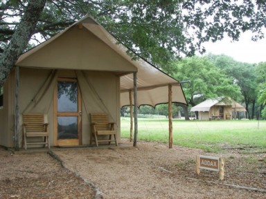 safari camp